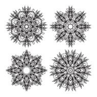 Mandala Ethnic decorative elements Vector illustration N13
