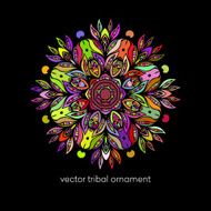 Mandala Ethnic decorative elements Vector illustration N14