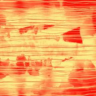 Abstract Lines N22
