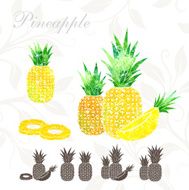 Pineapple icons set N2