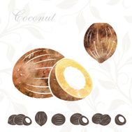 Coconuts set Watercolor coconut with icons N2