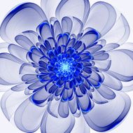 Beautiful blue flower on white background
