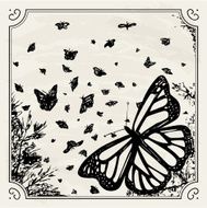 Vintage Butterfly Print N2