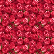 Seamless background with raspberry Vector illustration