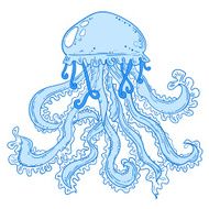 Isolated jellyfish