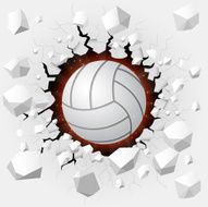 Volley ball