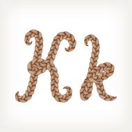 Braids hair font N18