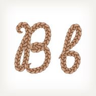 Braids hair font N20