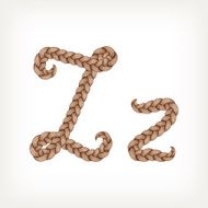 Braids hair font N21
