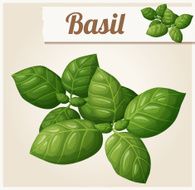 Basil leaves Detailed Vector Icon