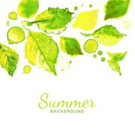 Vector green leaves summer background