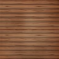 Vector wood plank background N10
