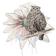sketch of a owl N5