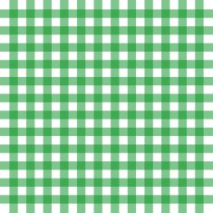 Vector green gingham N2