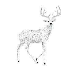 Christmas Deer N17