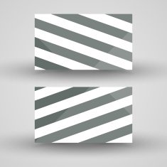 Vector business-card set for your design N220