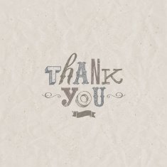 Thank You inscription - hand drawn vector letters N2