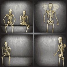 vector skeleton on the wall collection N5