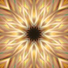 3d flower N2