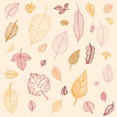 Autumn leaves set N4