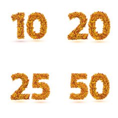 Numbers of autumn leaves collection