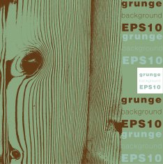 Grunge vector background illustration N53