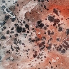 Textured red and gray moldy like texture