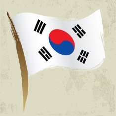 South Korean Flag N10