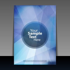 Flyer or Cover Design N80
