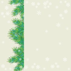Sweet Christmas greeting card with fir twigs N7
