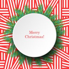 Sweet Christmas greeting card with fir twigs N8
