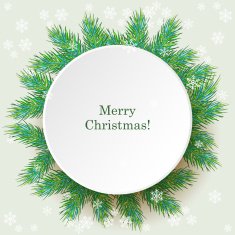 Sweet Christmas greeting card with fir twigs N9