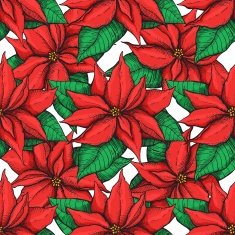 Vector seamless poistella pattern N2