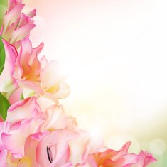 Flower background N187