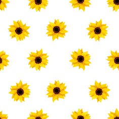 Seamless pattern with sunflowers on white Vector illustration