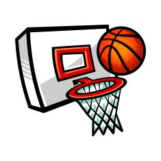 Basketball Net N16