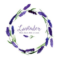 Vector greeting card with watercolor lavender N4