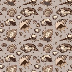 Seamless pattern of Sea shells N23
