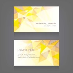 Business Card Set Vector illustration N3