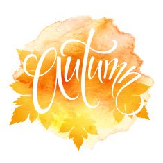 Word AUTUMN and three leaves Watercolor background Vector illustration N2