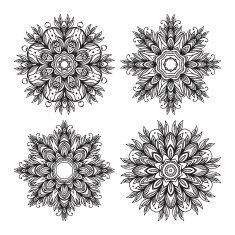 Mandala Ethnic decorative elements Vector illustration N13