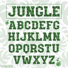 Serif decorative font N2