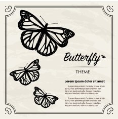 Vintage Butterfly Copy Space N2