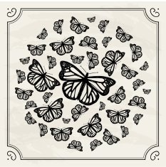 Vintage Butterfly Circle N2