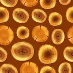 Wood Seamless Pattern N5