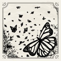 Vintage Butterfly Print N2