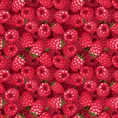 Seamless background with raspberry Vector illustration