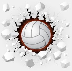 Volley ball