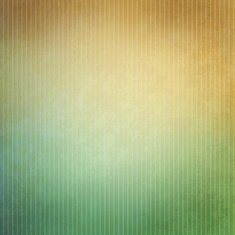 Vector vintage paper texture background N10