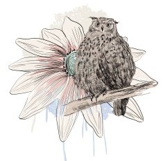 sketch of a owl N5